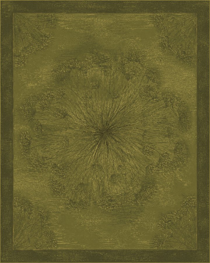 Seedhead