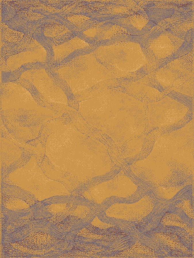 Apricot & Indigo